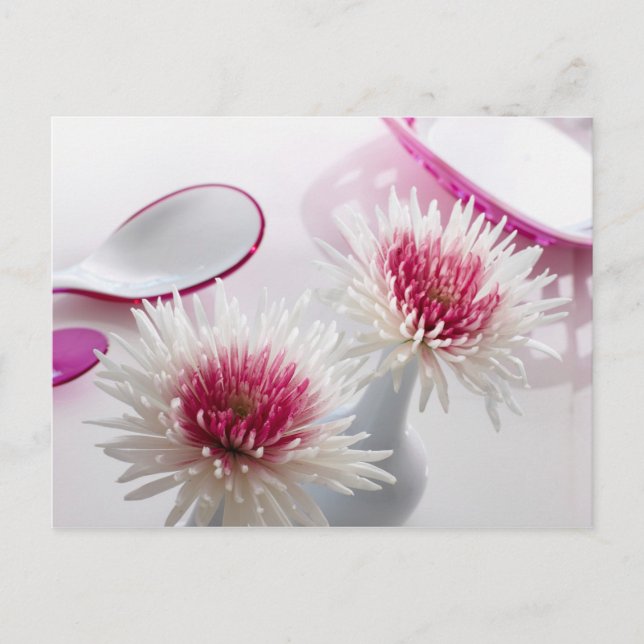 Chrysanthemums Vykort (Framsida)