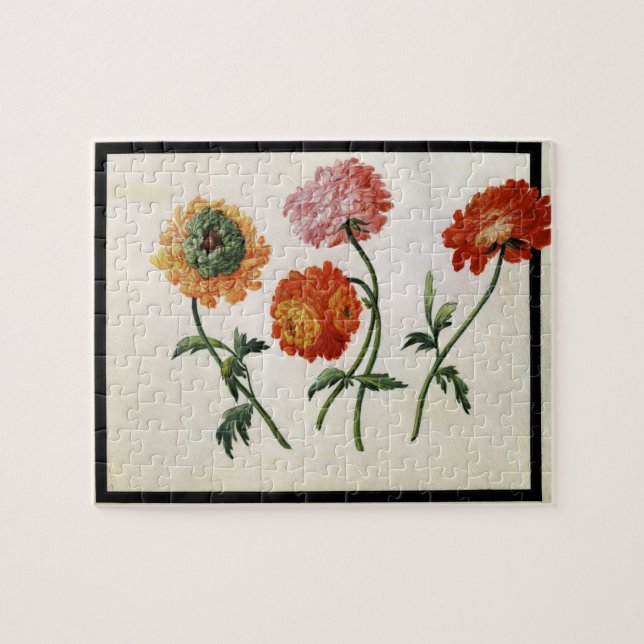 Chrysanthemums (w/c på papper) pussel (Horisontell)