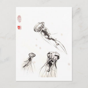 Chrysaora Jellyfish Postcard Vykort