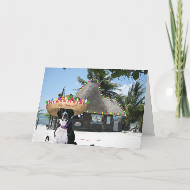 Chrysie Mexikansk jul Helgkort (Framsida)