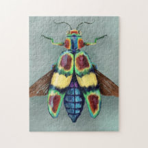 Chrysochroa fulgens Wood-lores Beetle Painting