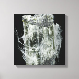 Chrysotile eller vitasbest canvastryck