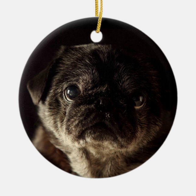 Chubbs den Wampug svarten på svart prydnad Julgransprydnad Keramik (Framsidan)