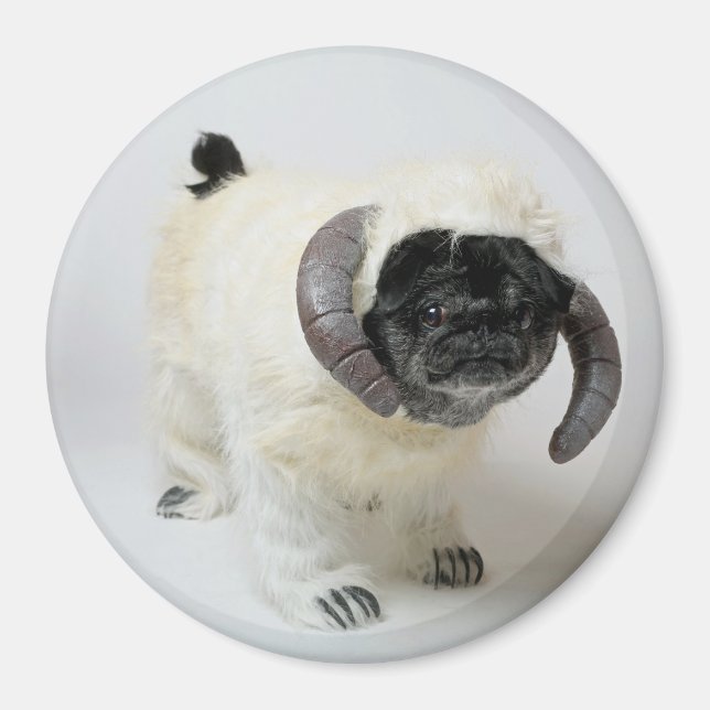 Chubbs Wampug Magnet (Framsidan)
