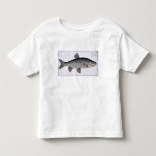 Chuben (Cyprinus Jeses) pläterar VI från T-shirt