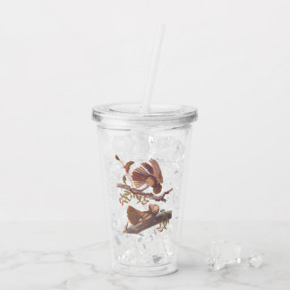 Chuck Will's Widow Nightjar med koral Snake Take Away Mugg