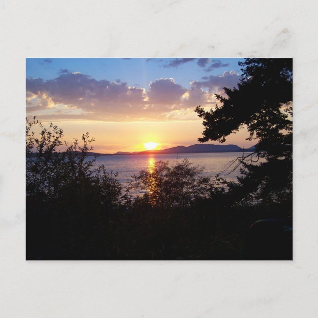 Chuckanut Drive Vykort (Framsida)