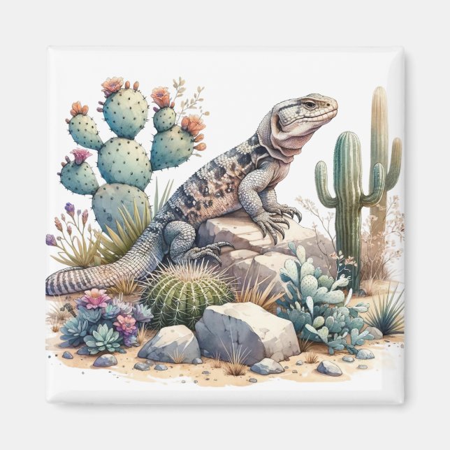 Chuckwalla Chillin Magnet (Framsidan)