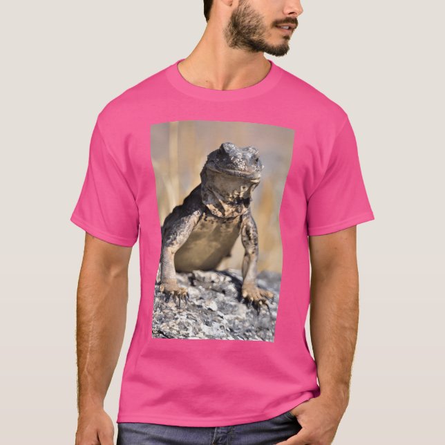 Chuckwalla On Watch Active T Shirt (Framsida)