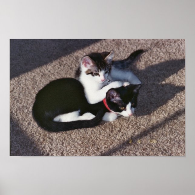 Chuda & Sami Poster (Framsidan)