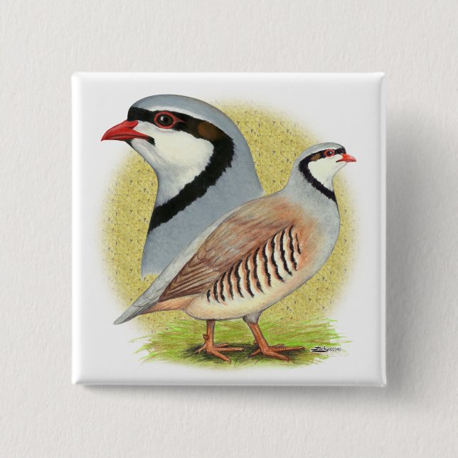 Chukar Partridge Combo Knapp (Framsida)