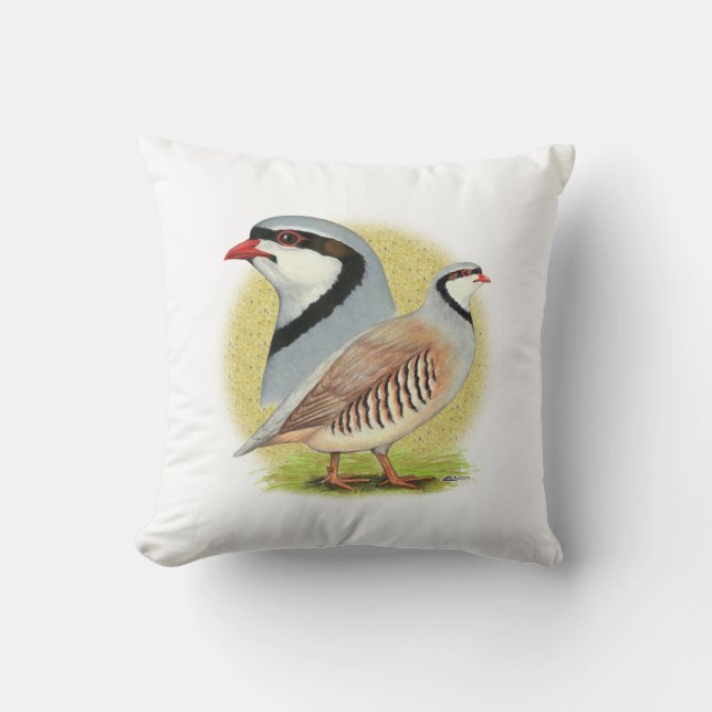 Chukar Partridge Combo Kudde (Framsida)