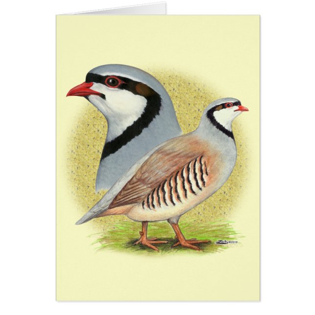 Chukar Partridge Combo OBS Kort (Framsidan)