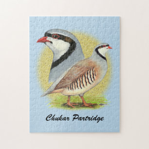 Chukar Partridge Combo Pussel