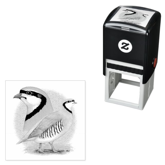 Chukar Partridge Combo Självfärgande Stämpel (In Situ)