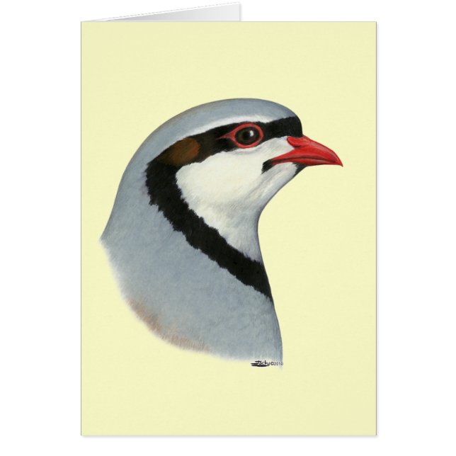 Chukar: Partridge Head OBS Kort (Framsidan)
