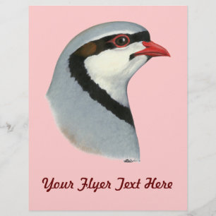 Chukar: Partridge Head Reklamblad