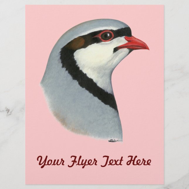 Chukar: Partridge Head Reklamblad (Framsidan)