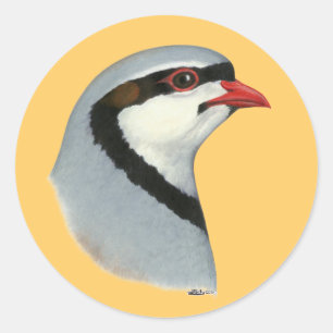 Chukar: Partridge Head Runt Klistermärke