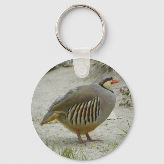 Chukar Partridge Nyckelring (Framsida)