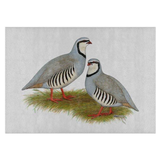 Chukar Partridge Pair (Framsidan)