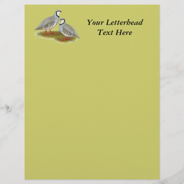 Chukar Partridge Pair (Framsida)
