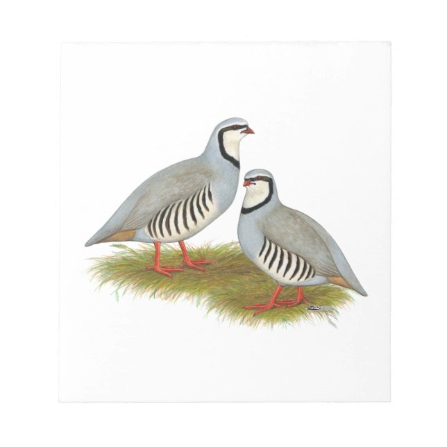 Chukar Partridge Pair Anteckningsblock (Framsida)