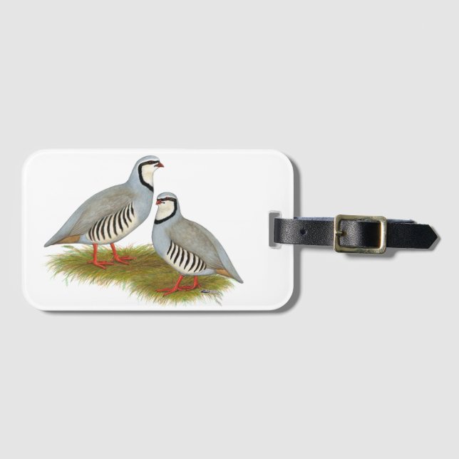 Chukar Partridge Pair Bagagebricka (Framsida horisontal)