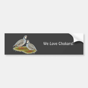 Chukar Partridge Pair Bildekal