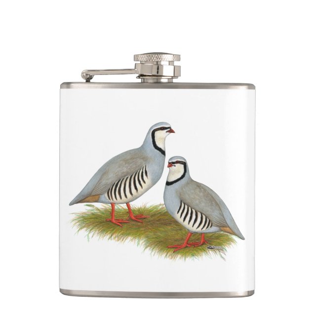 Chukar Partridge Pair Fickplunta (Framsidan)
