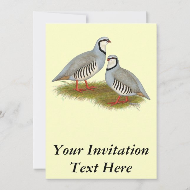 Chukar Partridge Pair Inbjudningar (Framsida)