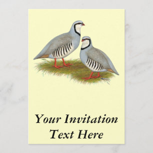 Chukar Partridge Pair Inbjudningar