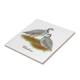 Chukar Partridge Pair Kakelplatta