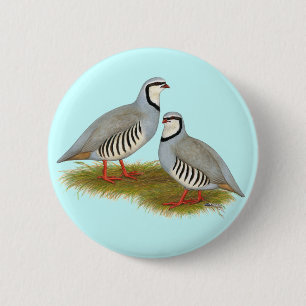Chukar Partridge Pair Knapp