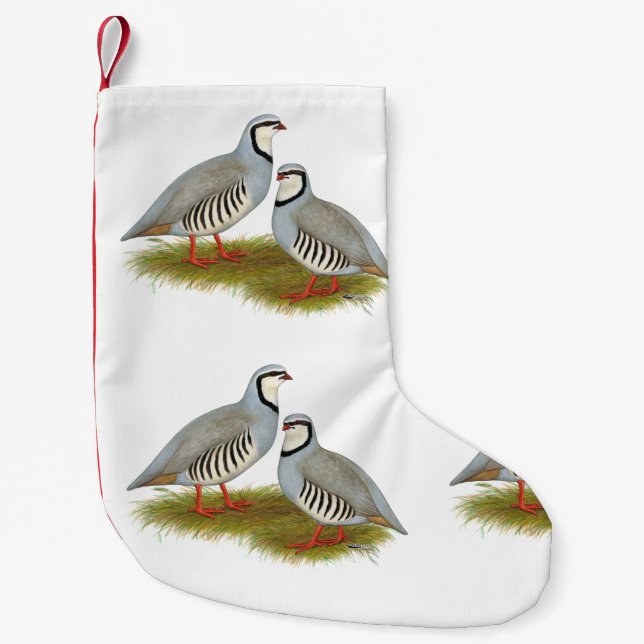 Chukar Partridge Pair Liten Julstrumpa (Framsidan)
