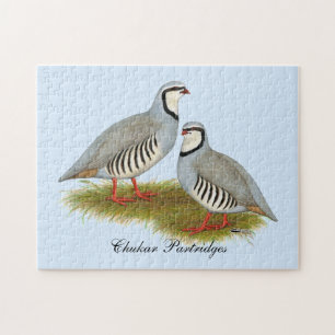 Chukar Partridge Pair Pussel