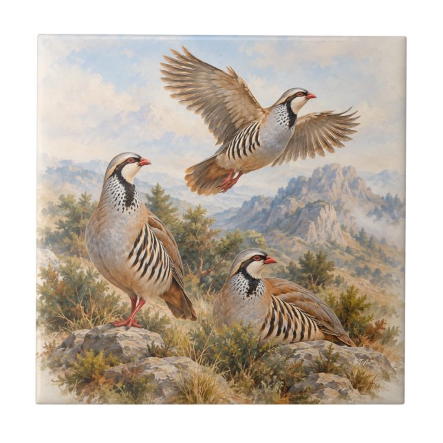 Chukar Rapphöna Konst Kakelplatta (Framsidan)
