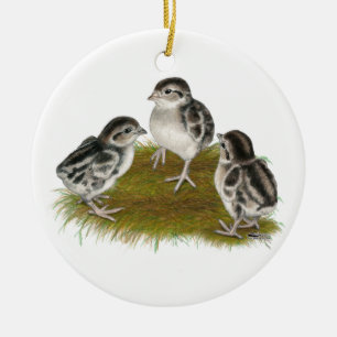 Chukar rapphönachickar julgransprydnad keramik