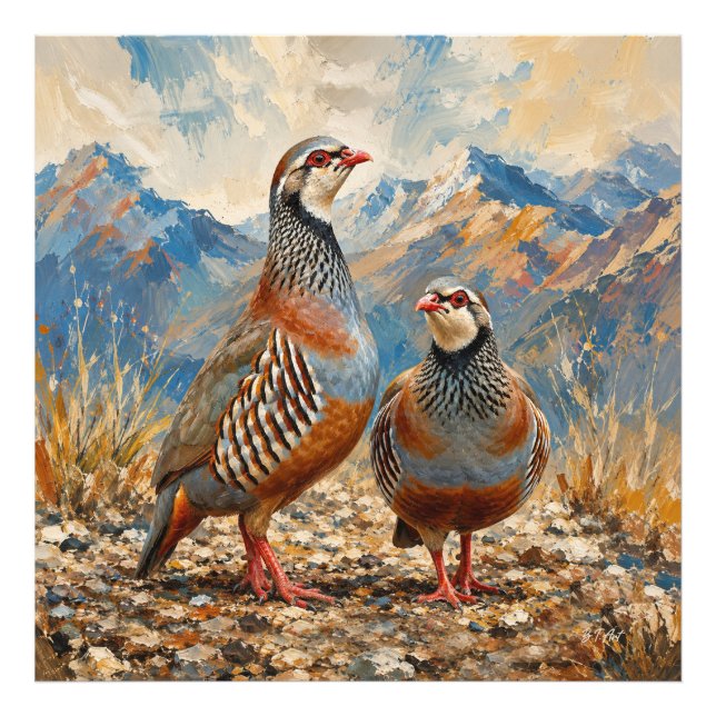 Chukar Rapphöns Par Konst  Fototryck (Framsidan)