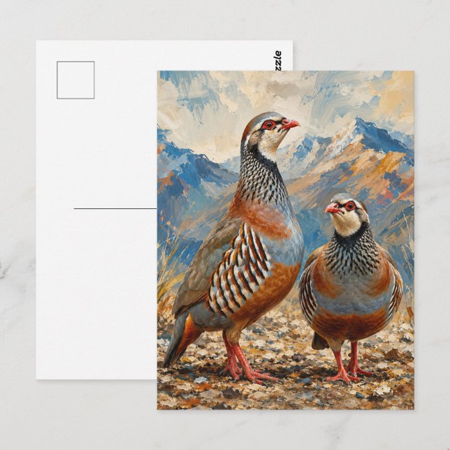 Chukar Rapphöns Par Konst  Vykort (Fram/baksida)