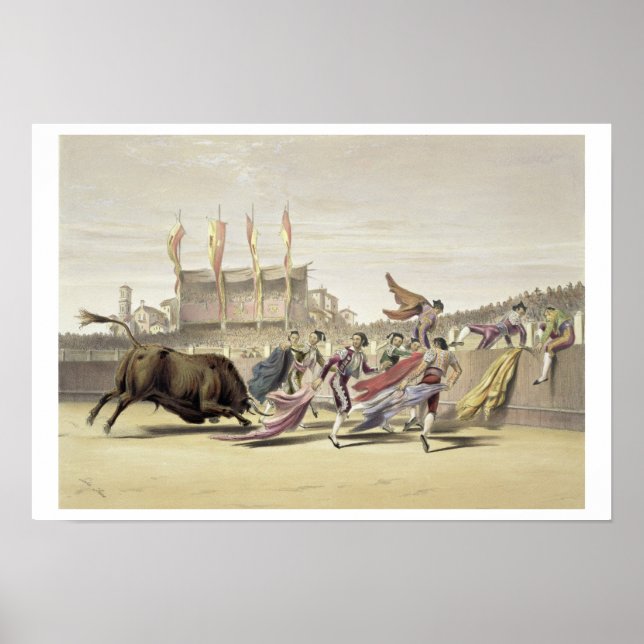Chulos som spelar Bull, 1865 (färg litho) Poster (Framsidan)