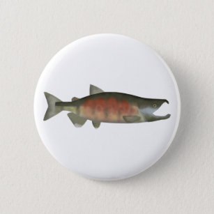 Chum Salmon - knapp för gräddfas