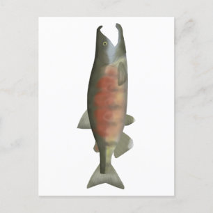Chum Salmon - Kronfas Vykort