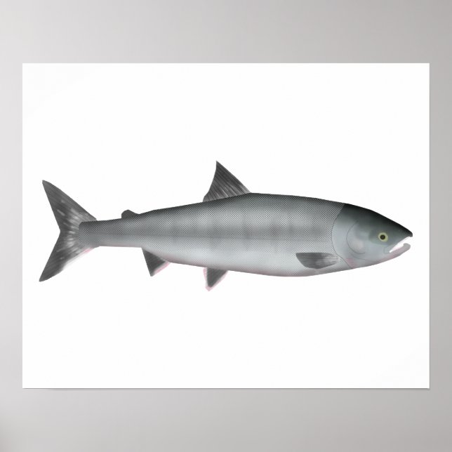 Chum Salmon Ocean Poster (Framsidan)