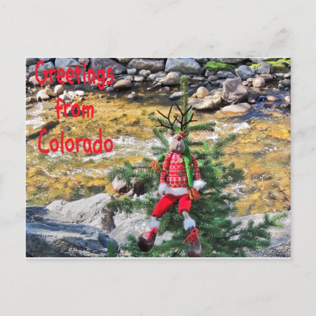 "Chump jul"-vykort Helg Vykort (Framsida)