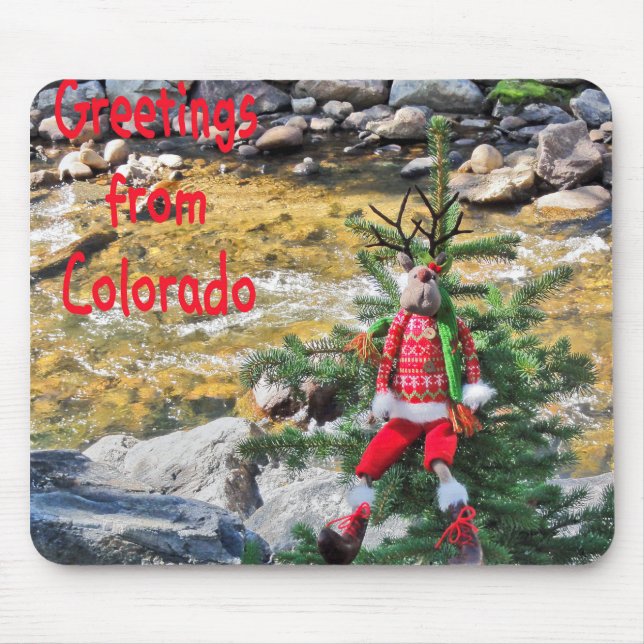 "Chump"-musknapp Musmatta (Framsidan)