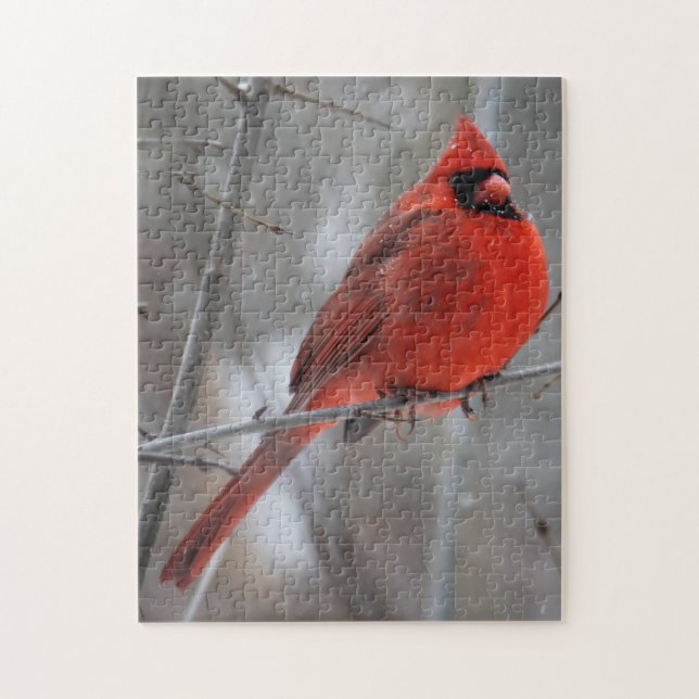 Chunky Bright Red Male-kardinal i Winter Snö Pussel (Vertikal)
