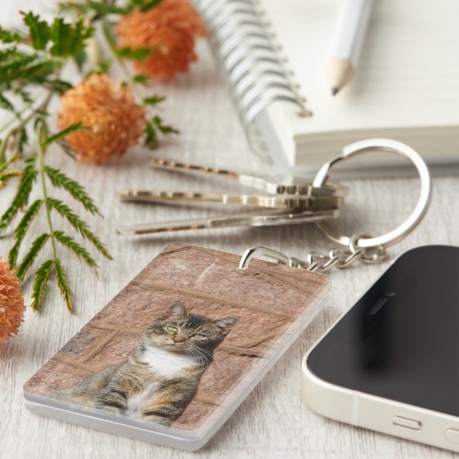 Church Cat (Högra Framsidan)