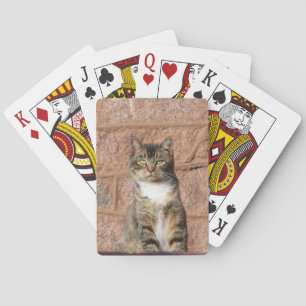 Church Cat Casinokort