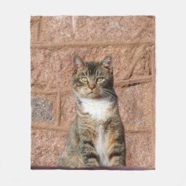 Church Cat Fleecefilt